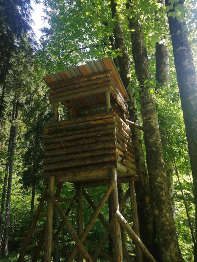 Ferienhaus Krallinger Abtenau Eksteriør billede